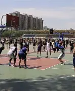 布莱顿清晨止住颓势，志在荷甲名次提升，震撼外界，资深球员宣示担当的简单介绍-开云登录入口